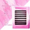 Cluster Lashes 200pcs 30D 40D 50D 60D 80D 100D DIY