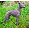 Greyhound Dog Statue Ornament Figurine Cold Cast Bronze.