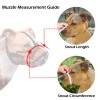 OOPSDOGGY Pitbull Dog Muzzle Reflective Metal Mask Secure Wire Basket