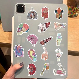 Anatomy of Organs Stickers 50 Pieces Skateboard Graffiti Stickers Motorcycles Bicycle Snowboard Luggage Laptop Car Suitcase for Children and Teenagers Waterproof Vinyl Stickers