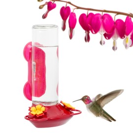 Perky-Pet Window-Mounted Glass Hummingbird Feeder - 14 fl oz Nectar Capacity - Entertaining Bird Watching - Glass Window Bird Feeder - 455-2 - Family Birdwatching