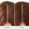 Drybar Detox Gentle Shampoo en Seco para Cuero Cabelludo Sensible,