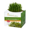 Dog and Cat Favorite Grass Cultivation Set