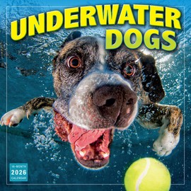 Underwater Dogs 2026 Wall Calendar, 16-Month Funny Dog Photography Calendar by Seth Casteel, 12" x 12"