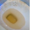 Toilet Bowl Effervescent Tablets Cleaner Fresh Dissolve