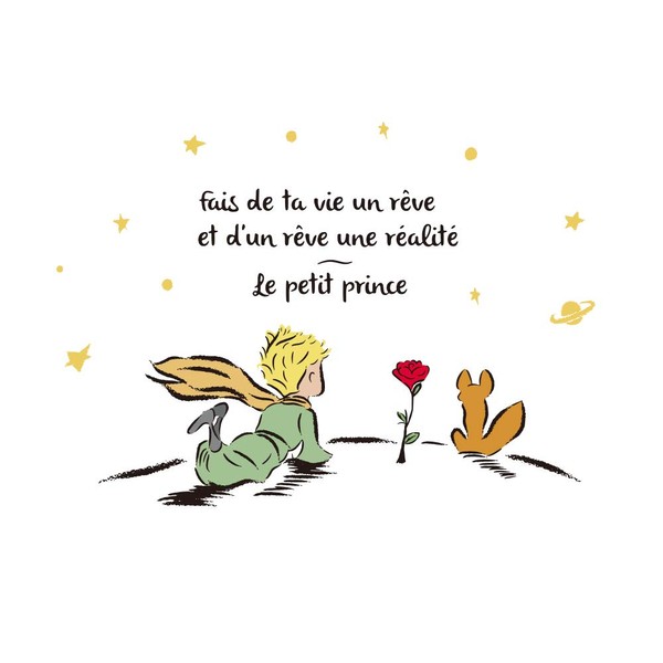 decalmile Wall Sticker The Little Prince Wall Sticker with Sayings and Quotes Fairy Tales for Children's Room Baby's Room Bedroom Wall Decoration