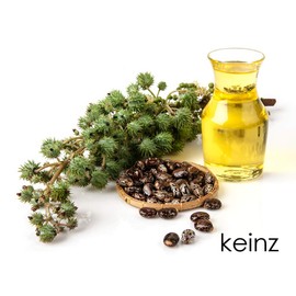 keinz Orga Kaynes Castor Oil (Castor Oil), 19.3 fl oz (540 ml)
