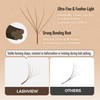 LASHVIEW W Lashes Extensions, 5D Premade Fans 0.07 D Curl