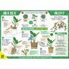 Hanagokoro House Plant Soil 6.6 gal (2 L)