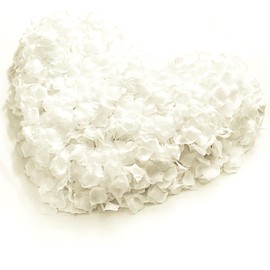 enttgo 1000Pieces Rose Petals, Artificial Flower Petals Fake Rose Petals Silk Red Rose Petals for Romantic Night,Wedding,Proposal Anniversary Flower Decorations (Milky White)