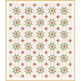 It's Sew Emma Prairie Home Book by Lori Holt *P051-ISE-961*