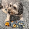 SPOT Butterballs Forest Animals Dog Toy-Soft, Stuffed, Squeaky, Plush Fabric