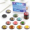 FINDMAG 12 Pcs Cute Fridge Magnets, Strong Refrigerator Magnets, Glass