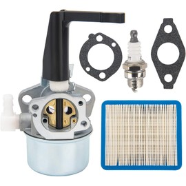 696065 Carburetor Compatible for Briggs & Stratton 697422 110402 110412 215369 Tiller Engine Carb with Mounting Gaskets Kit and 491588S Flat Air Filter Cartridge