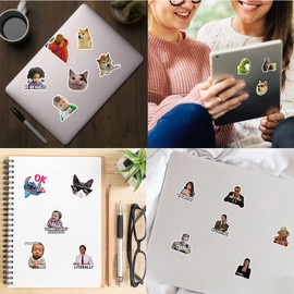 Funny Meme Stickers 100 Pack Laptop Stickers,Vinyl Waterproof Stickers for Water Bottles Skateboard Scrapbook Bike Computer,Phone,-Graffiti Stickers Pack for Teens Girls Kids Adults(Trendy Meme)