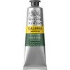 Winsor & Newton Galeria 60ml Hookers Green, Acrylic, 5 x
