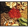 Trifecta Botanicals BANISH NEGATIVITY Intention Spell Kit ~ Herbs /