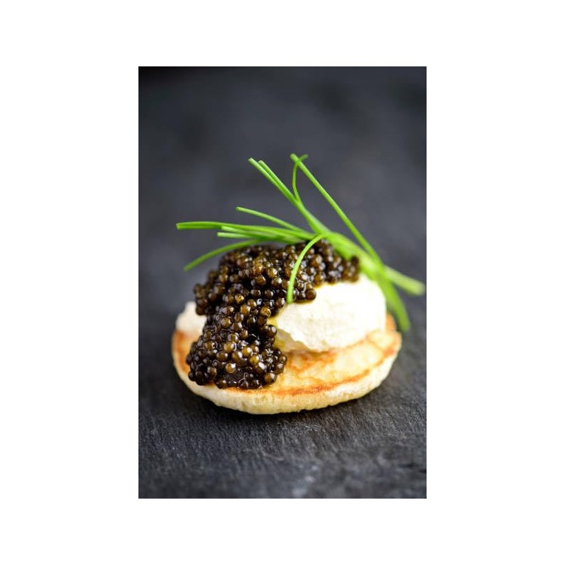 Caviar Star - Premium Black Caviar Sturgeon from Sustainable Farms