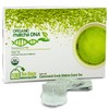 Matcha Teabags MatchaDNA Certified Organic Matcha Green Tea by MATCHA