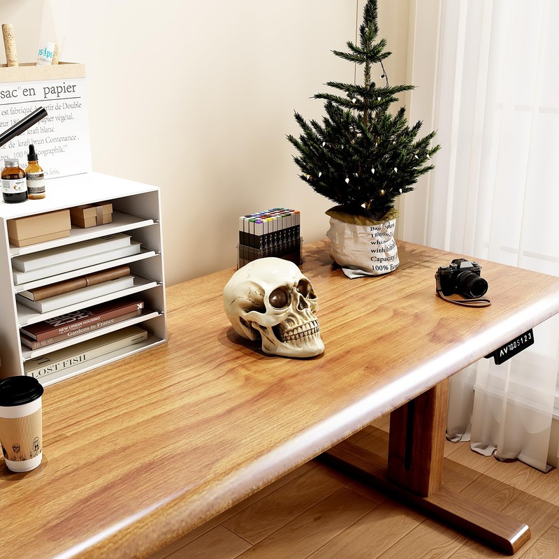 READAEER Resin Skull, Human Head Model for Home Decoration, Halloween