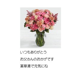 Ibuki Yakuizumi Monogatari 15 Bags 30 Packs