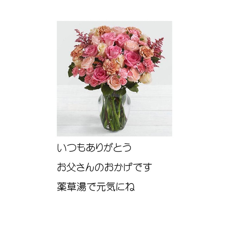 Ibuki Yakuizumi Monogatari 15 Bags 30 Packs