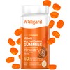 Vegan Multivitamin Gummies by Wellgard - Chewable Multivitamins Adults, 60