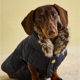 Rosewood Joules Cherington Coat For Dogs, Small Navy Blue