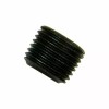 RIDGID RYOBI OEM 079027013099 Plug Screw in Genuine Factory Package