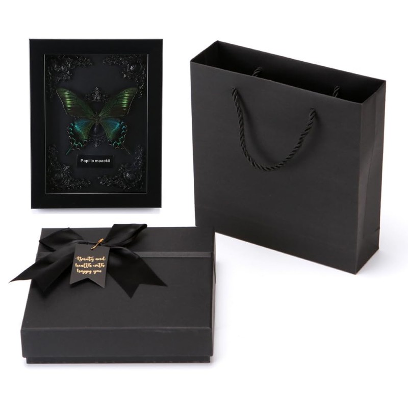 Real Framed Butterfly Taxidermy - Shadow Box, Real Framed Butterfly