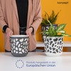 KONZEPT Flower Pot with Insert (Diameter 19 cm) - Large