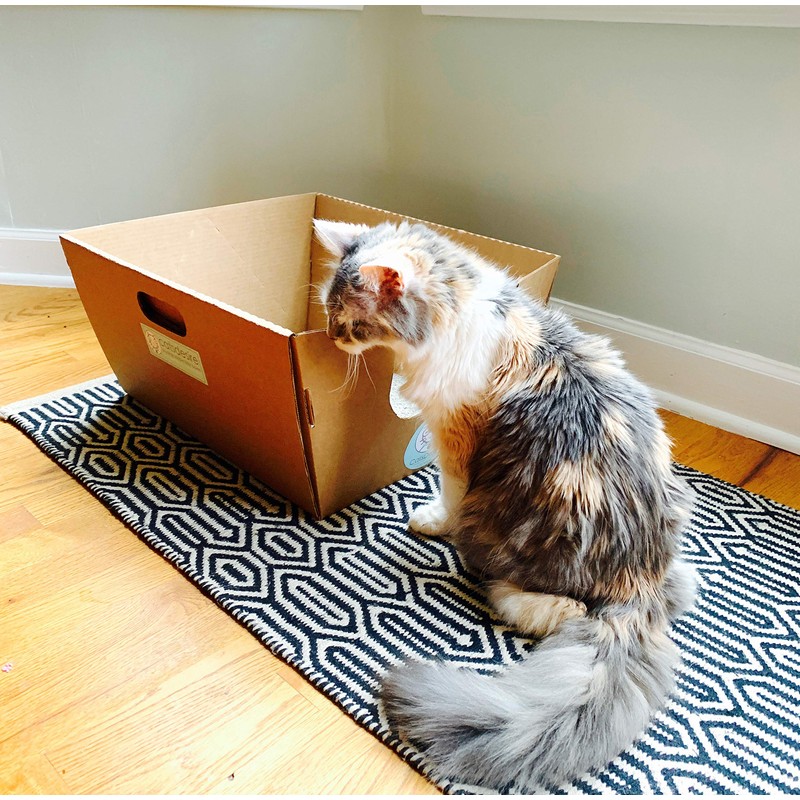 Cats Desire Biodegradable & Disposable Litter Box with Corn Litter