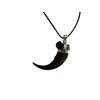 Grant Field Specimens Grizzly Bear Claw Necklace