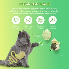 AUKSKY 2PCS Catnip Toys for Indoor Cats, Cat Self Groomer with Catnip Ball & Gall Fruit, Cat Toy Ball Stick on Wall, Kitty Teeth Cleaning Dental Chew Toys, Catnip Wall Balls for Cats Lick