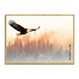 Wildlife Photography Magnet Series – Flying Eagle at Sunset Rustic Nature Photography Magnets for Fridge, Office, Cooler, Cabin Decor 2.5 x 3.5 inch (SJT09581)