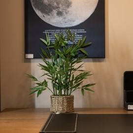 365 Blooming Decor 18 Inch Faux Bamboo Plant in Handmade Seagrass Pot - Luxury Artificial Bamboo Tree for Home, Office, Kitchen, Counter Top, Indoor Decor, Money Tree, Lucky Bamboo Tree