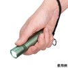 ELPA DOP-EP302 LED Color Flashlight, Waterproof, 100 Lumens, Continuous Illumination,