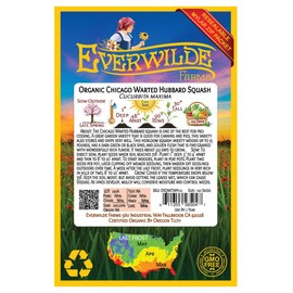 Everwilde Farms - 20 Organic Chicago Warted Hubbard Winter Squash Seeds - Gold Vault Packet