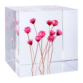 Acrylic Cube with Real Starflowers Inside 6cm Cube Colorful Aesthetic Shelf Decor Desk Decor Paperweight for Girlfriend