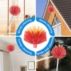 Cobweb Duster with Extension Pole, Medium Stiff Bristles Cobweb Duster