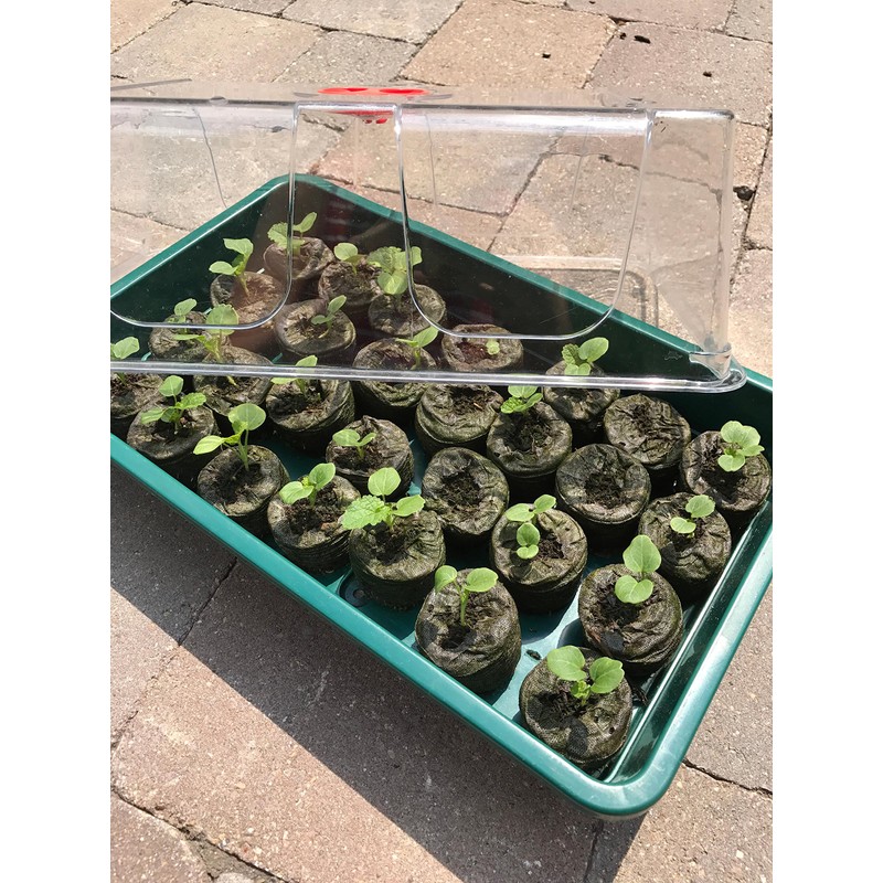 Garland Large High Dome Propagator