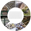 Cabilock Pack of 12 24 Egg Boxes Quail Eggs Transparent