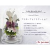 Art Four Seasons ● Offering Flowers 2 Colors Preserved Flowers