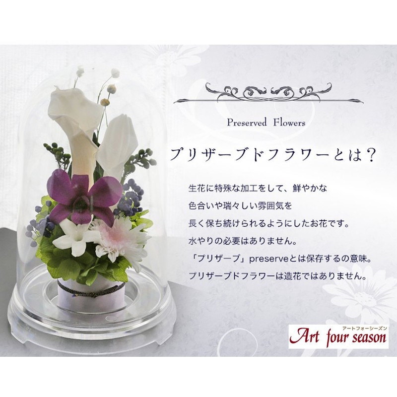 Art Four Seasons ● Offering Flowers 2 Colors Preserved Flowers