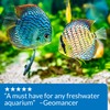 API FRESHWATER MASTER TEST KIT 800-Test Freshwater Aquarium Water Master