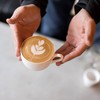 TOKYO COFFEE Tokyo Coffee Sumatra Organic Mandelin Coffee Beans Home-Roasted