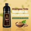 Shampoo Tinte Instantáneo Cubre Canas Natural Jengibre 500ml