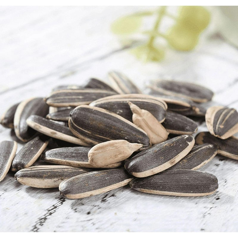 ChaCha Roasted Sunflower Seeds - Plain 250G (Pack of 3)