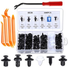 HiLiBoom Plastic Rivets Car Fender Bumper Clips Retaining Clips Rim Clips Push In Easy Installation Fixing Universal 6 Types with Storage Box Set of 100 + Tools