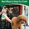 Pawsher Premium Fur Freshener | Dog Spray & Deodorizer Perfume